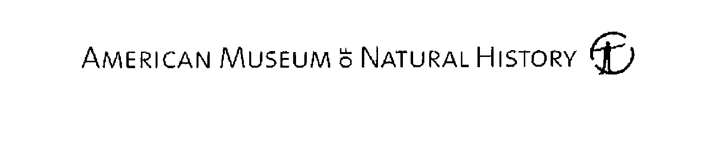  AMERICAN MUSEUM OF NATURAL HISTORY