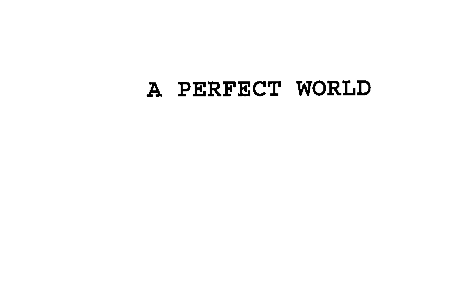 A PERFECT WORLD