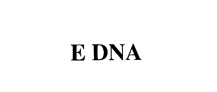  E DNA