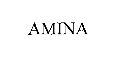 Trademark Logo AMINA