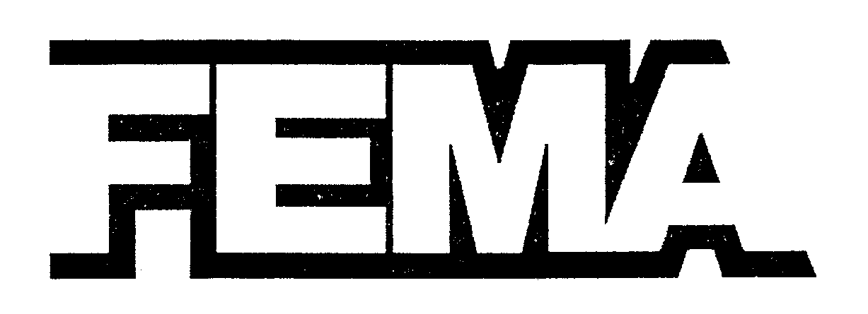 Trademark Logo FEMA