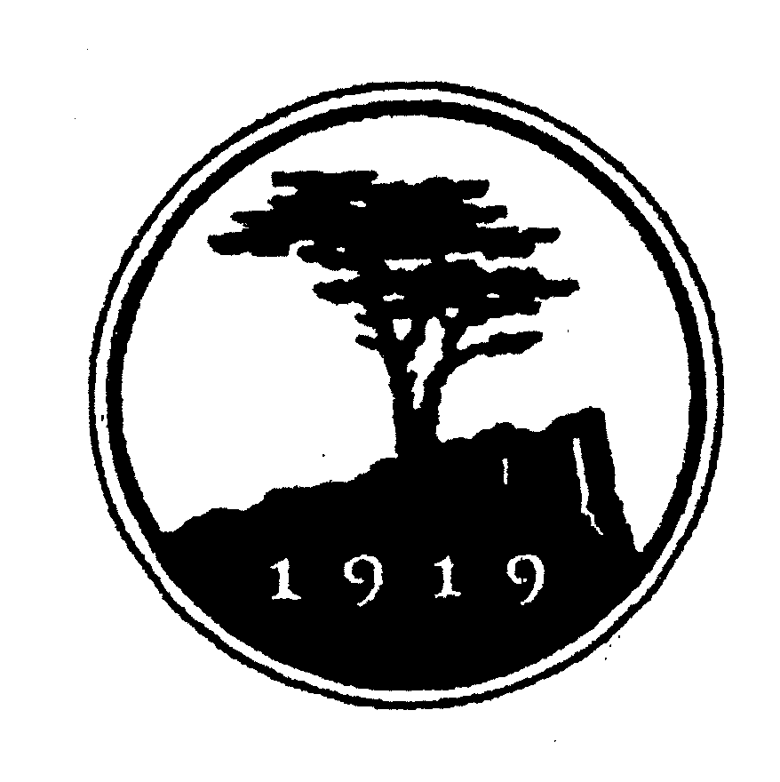 Trademark Logo 1919