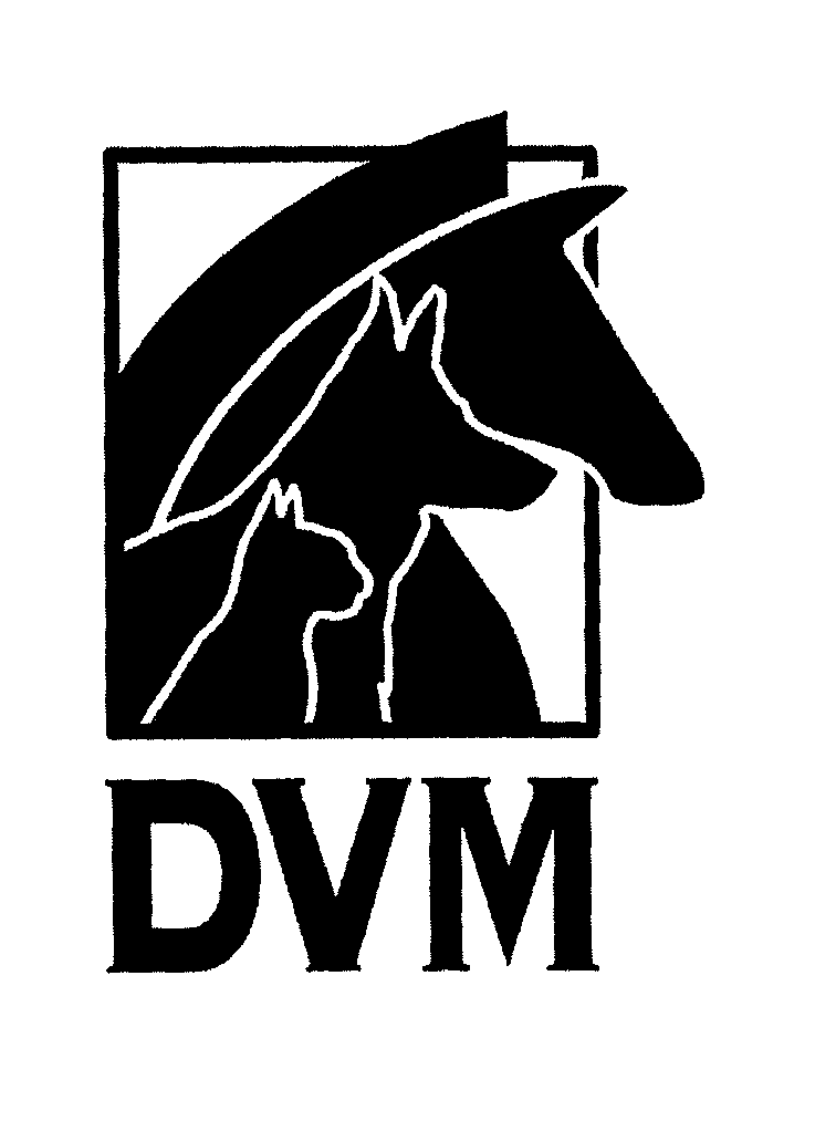 DVM