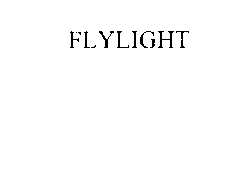 FLYLIGHT