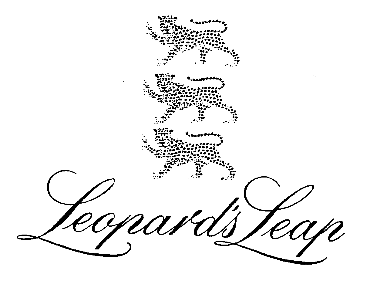 LEOPARD'S LEAP