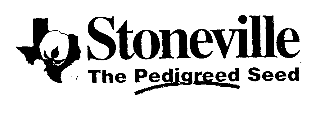  STONEVILLE THE PEDIGREED SEED