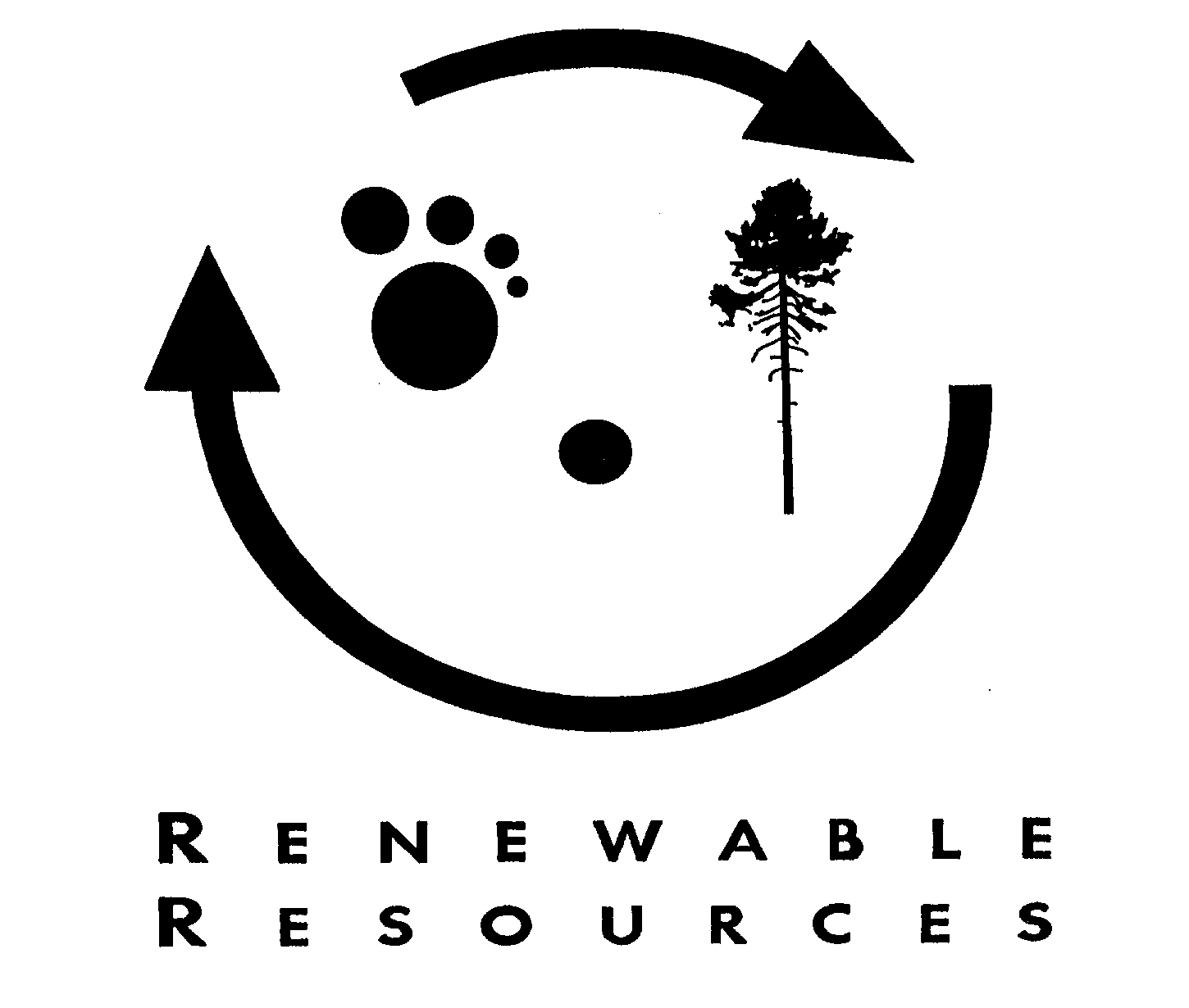 Trademark Logo RENEWABLE RESOURCES