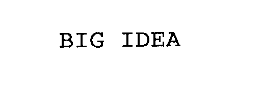  BIG IDEA