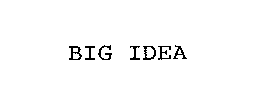  BIG IDEA