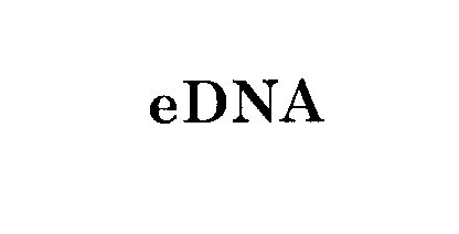 Trademark Logo EDNA
