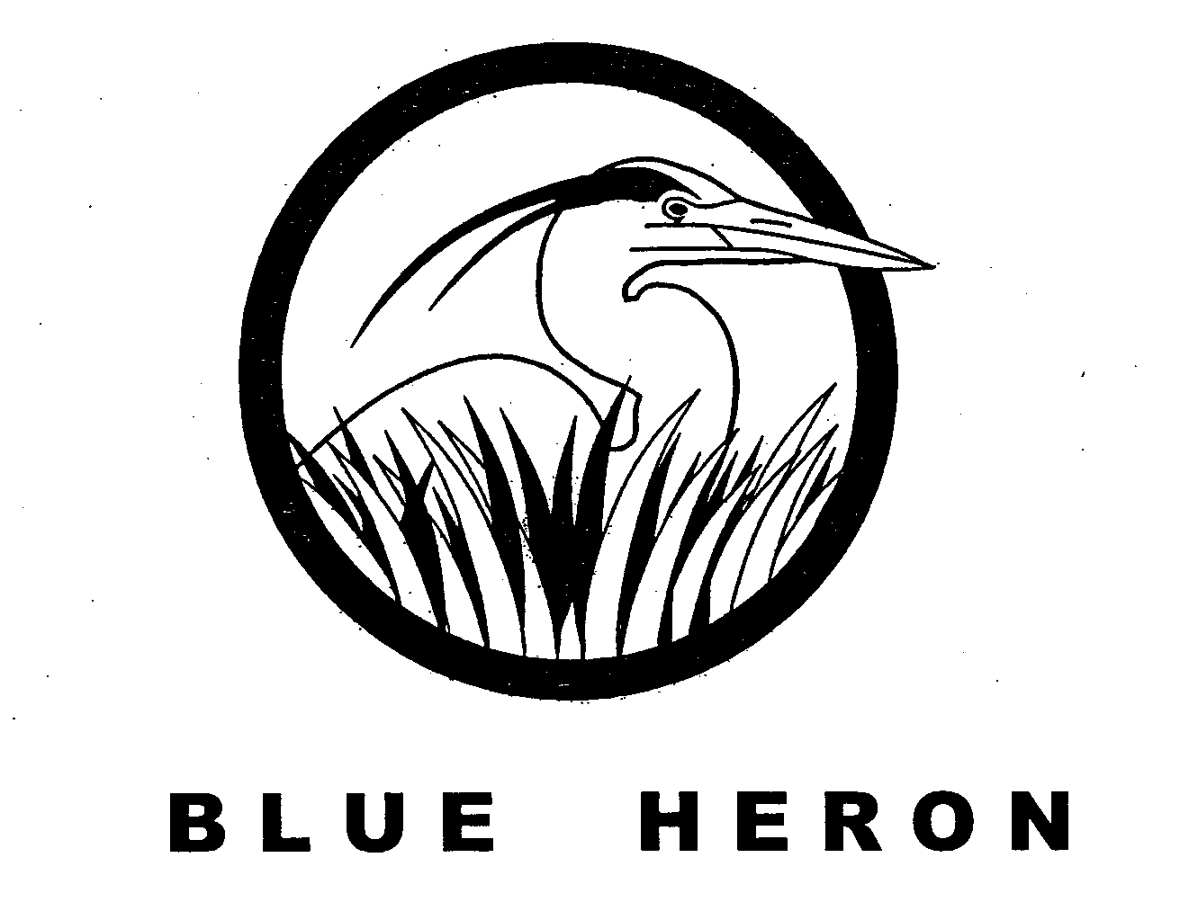 BLUE HERON