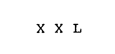  XXL