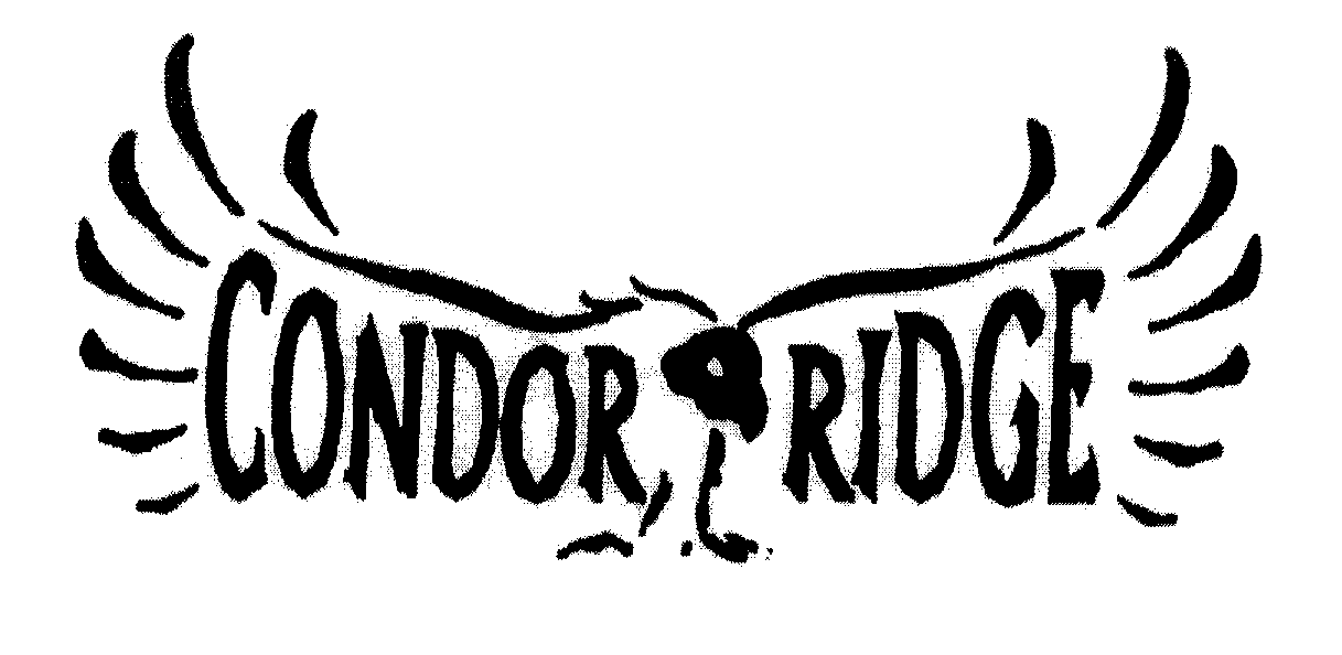 Trademark Logo CONDOR RIDGE