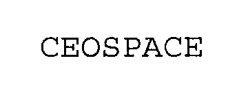  CEOSPACE