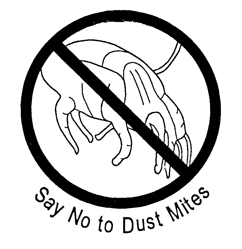 SAY NO TO DUST MITES