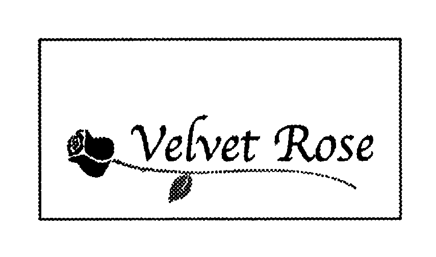 Trademark Logo VELVET ROSE