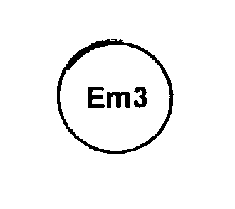  EM3
