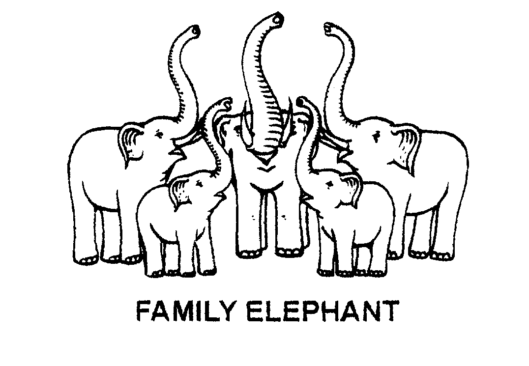  FAMILY ELEPHANT