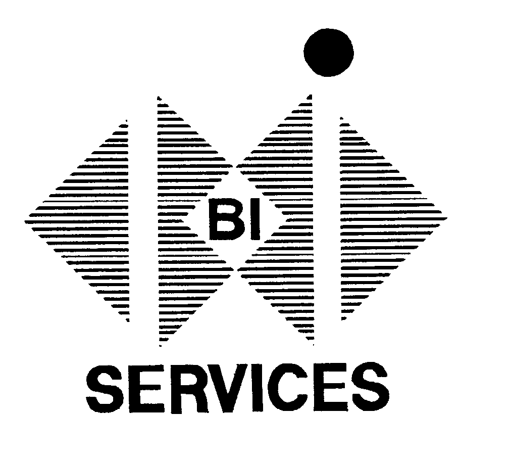 BI SERVICES