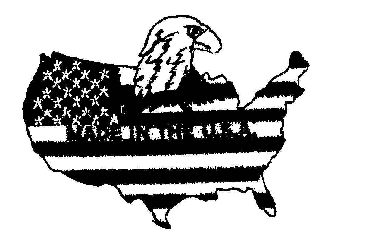 Trademark Logo MADE IN THE U.S.A.