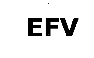  EFV