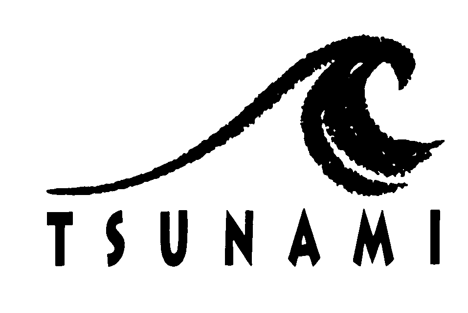  TSUNAMI