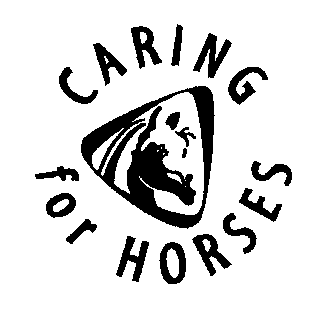  CARING FOR HORSES