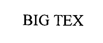 Trademark Logo BIG TEX