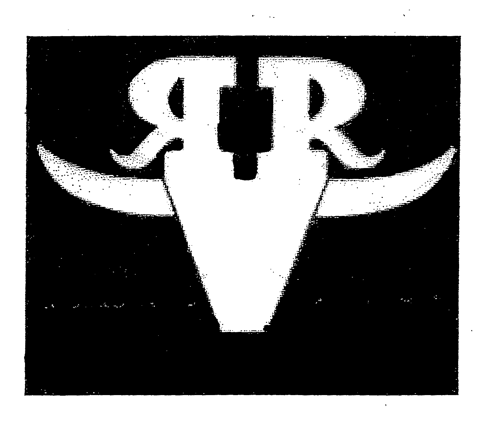 Trademark Logo R R