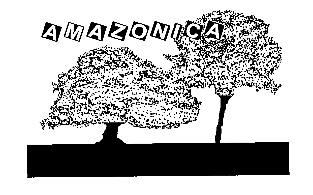 Trademark Logo AMAZONICA