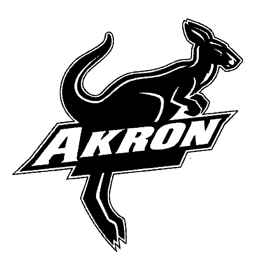 university of akron logo wordmark