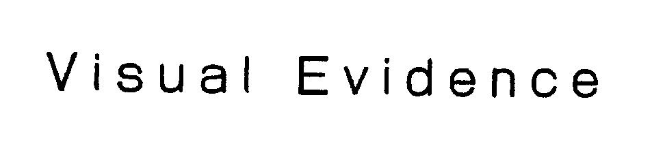Trademark Logo VISUAL EVIDENCE