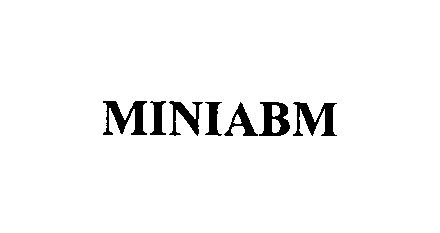  MINIABM