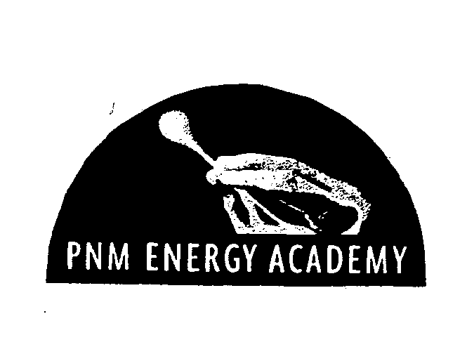  PNM ENERGY ACADEMY