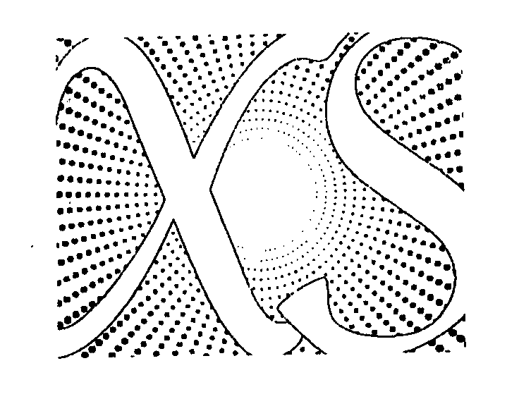  XS