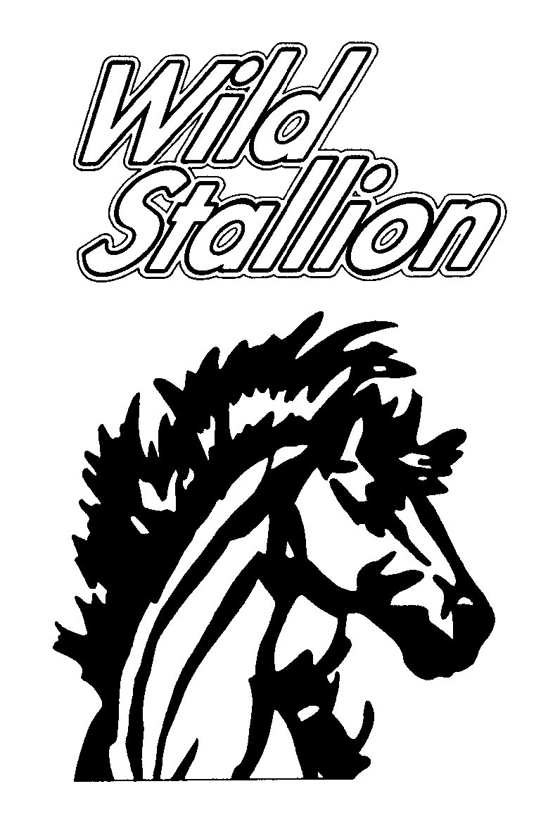  WILD STALLION