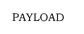 Trademark Logo PAYLOAD