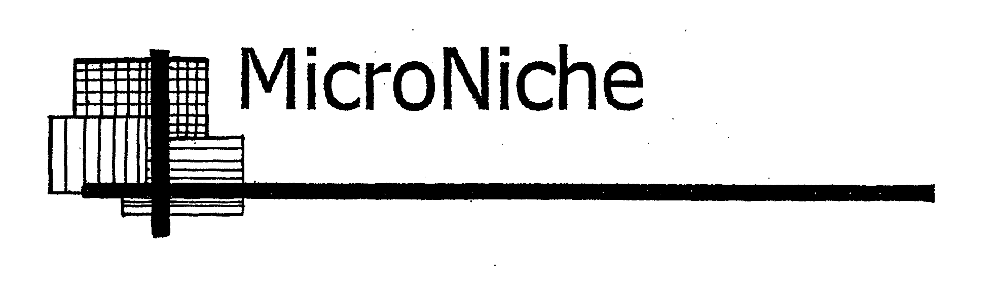  MICRONICHE
