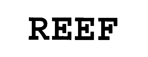 Trademark Logo REEF