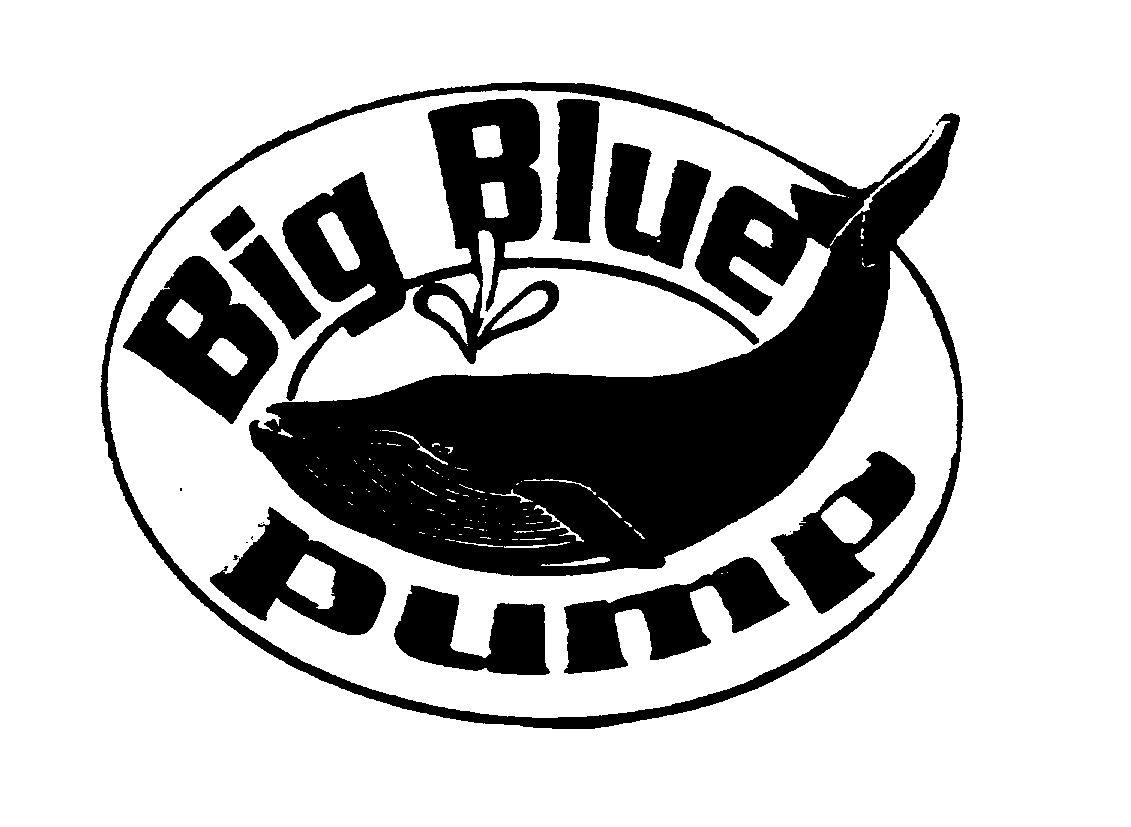  BIG BLUE PUMP