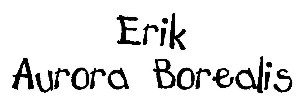 Trademark Logo ERIK AURORA BOREALIS