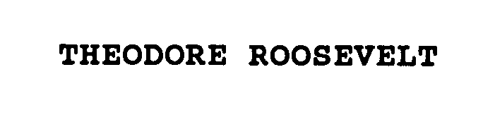 Trademark Logo THEODORE ROOSEVELT