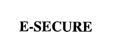  E-SECURE