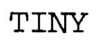 Trademark Logo TINY