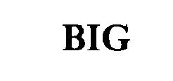 Trademark Logo BIG