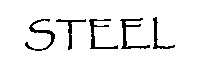 Trademark Logo STEEL