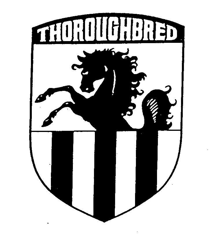 THOROUGHBRED
