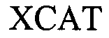 Trademark Logo XCAT