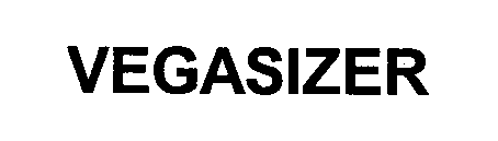  VEGASIZER