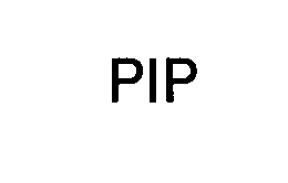  PIP